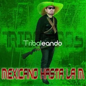 Meet your Posher, Tony